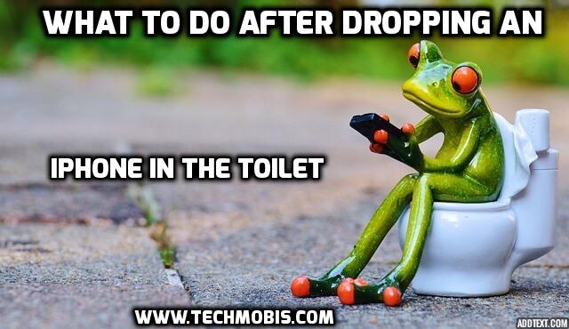 Dropped iphone in toilet