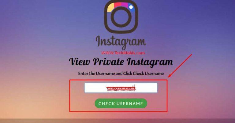 instagram private profile viewer