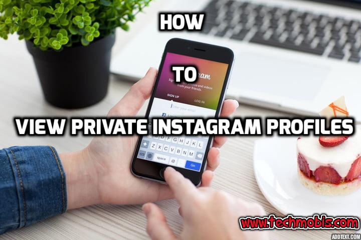 how to view private instagram profiles without human verification